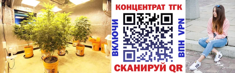 блэк спрут маркетплейс  Ельня  ТГК вейп с тгк 